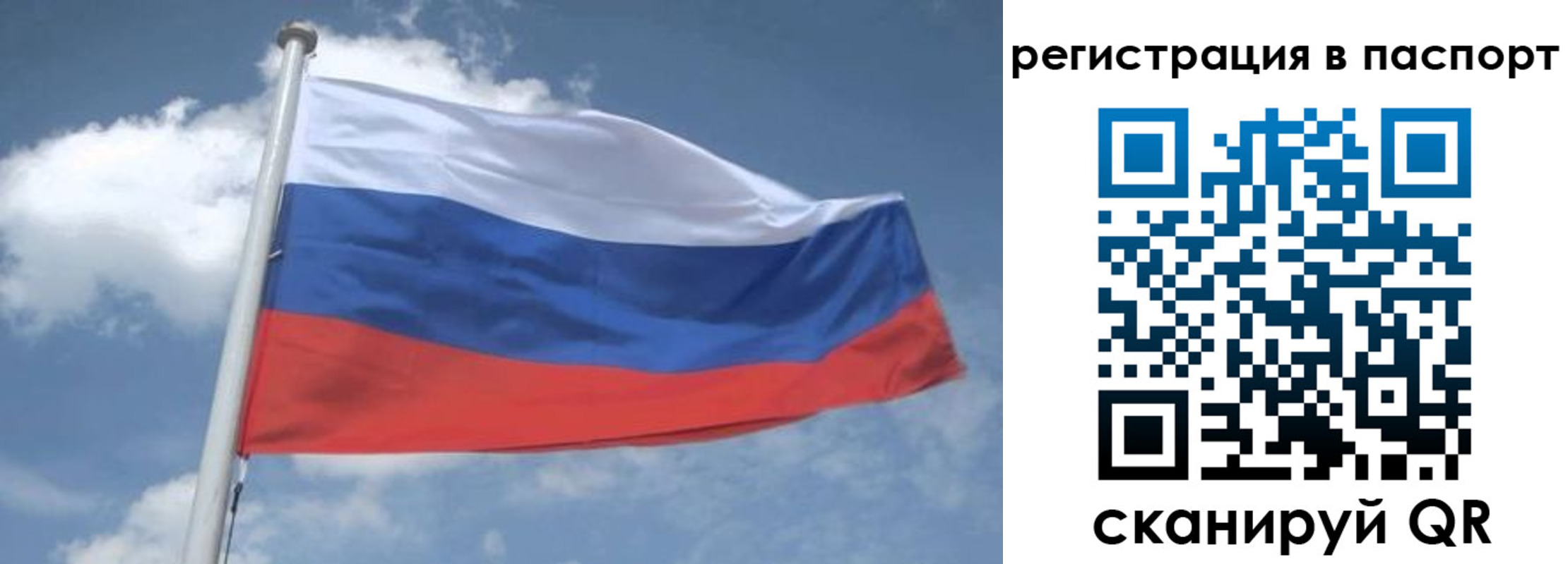 временная регистрация надежно в Петухово